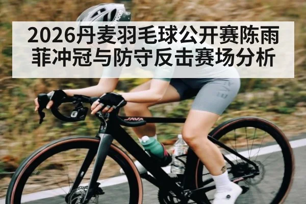2026丹麦羽毛球公开赛陈雨菲冲冠与防守反击赛场分析