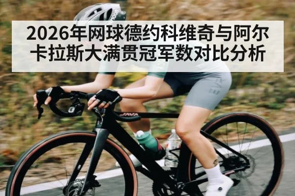 2026年网球德约科维奇与阿尔卡拉斯大满贯冠军数对比分析